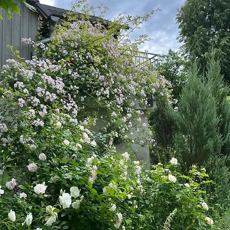 ヴィラ Haus Elbsinfonie