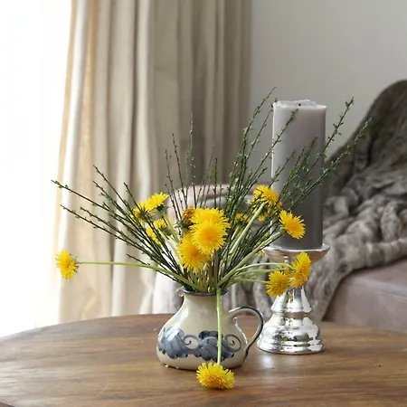 Haus Elbsinfonie ヴィラ