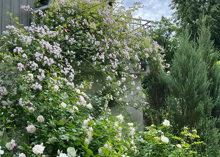 Villa Haus Elbsinfonie